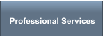 Professional Services